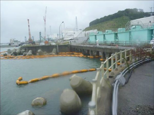 福島第一原発5，6号機取水口付近。黄色いブイにシルトフエンスが垂れ下がっている。9月26日現在。＝写真：東電提供＝