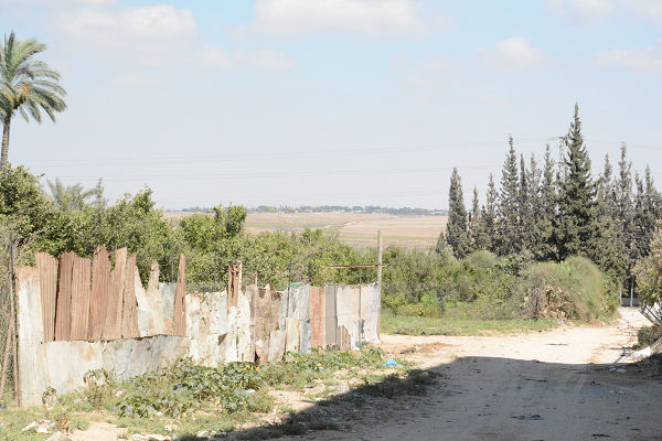 ガザ東部国境のアル・シジャーイヤ。正面奥、緑の林がイスラエルとの国境線。=18日　写真：筆者=