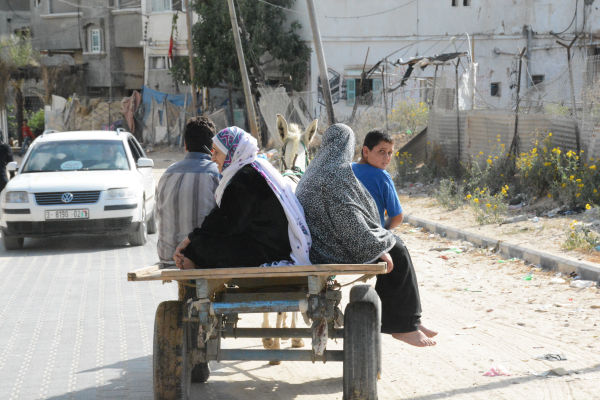 イスラエル軍の空爆が迫り、「ロバ荷車」で脱出する家族。＝7月15日、ベイトラフィーヤ　写真：筆者＝
