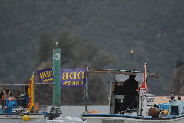 サンゴの海を破壊する沖縄防衛局（ODB）の旗をつけた漁船。皮肉で悲劇的な光景だ。＝7日、大浦湾　撮影：筆者＝